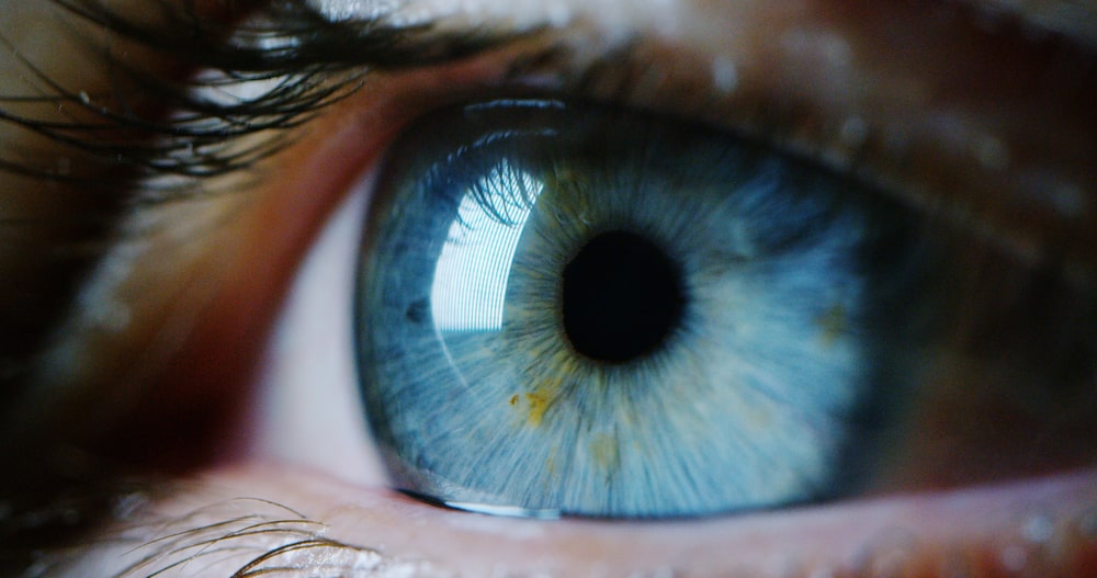 up close image of blue eye